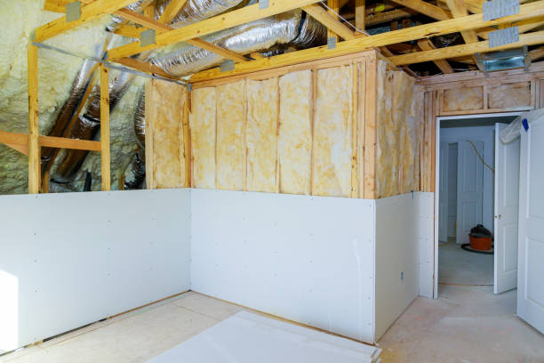 Best Attic Insulation Installation  in Pleasant View, TN