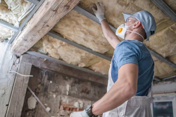 Best Blown-in Insulation  in Pleasant View, TN