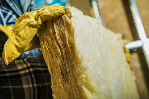 Best Insulation Replacement Services  in Pleasant View, TN